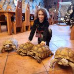 IMG_20220118_154137
