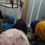 IMG-20230302-WA0009