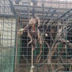 IMG-20230419-WA0006