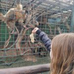 IMG-20230419-WA0007