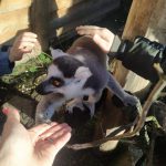 IMG-20230419-WA0016