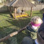 IMG-20230419-WA0018