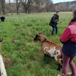 IMG-20230419-WA0049