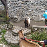 IMG-20230419-WA0050