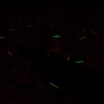 DSCN2032