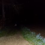 DSCN2059