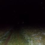 DSCN2068