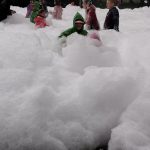 IMG-20240603-WA0082