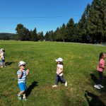 IMG-20240828-WA0010