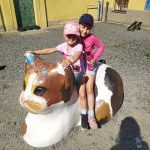 IMG-20240831-WA0052