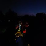 IMG-20241031-WA0082