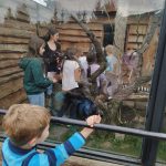 IMG-20241127-WA0007