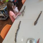 IMG-20250304-WA0019