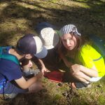 IMG-20250701-WA0014