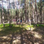 IMG-20250701-WA0020