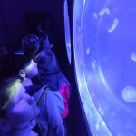 IMG-20250717-WA0027