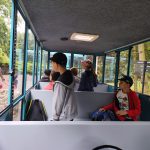 IMG-20250717-WA0033