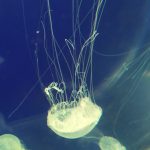 IMG-20250717-WA0110