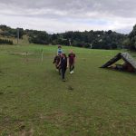 IMG-20250721-WA0127