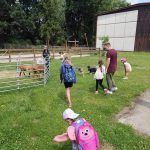 IMG-20250721-WA0267