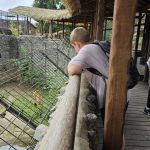 IMG-20250721-WA0441