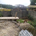 IMG-20250721-WA0656