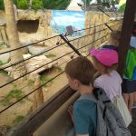 IMG-20250721-WA0657