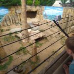 IMG-20250721-WA0659