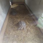 IMG-20250721-WA0665
