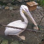 IMG-20250721-WA0669